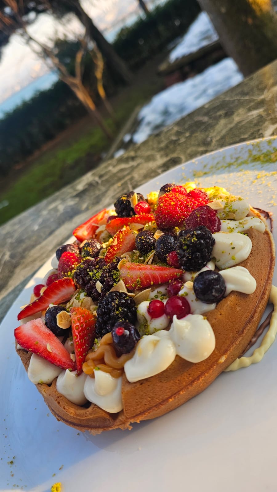 Cream Waffle